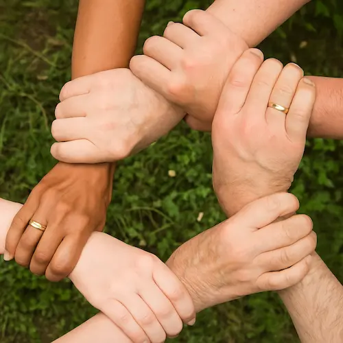 Equipo, fundación, ong