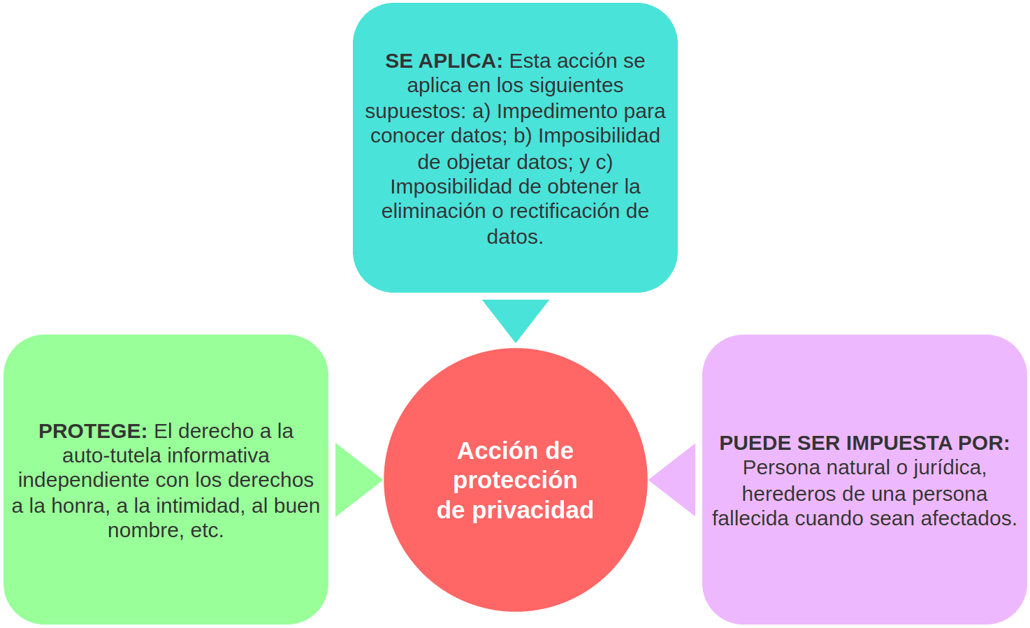 RASGOS CENTRALES DE LA ACCIÓN DE PROTECCIÓN DE PRIVACIDAD